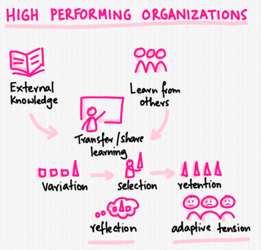 high-performing-organizations.png