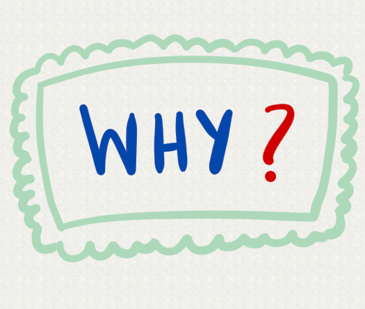 why.png