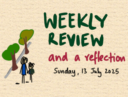 2025-07-13_weekly-review-reflection.png